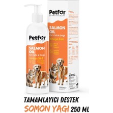 Petfor Somon Yağı 250 ml Kedi ve Köpekler Için X2 Adet