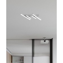 Hegza Lighting Grada (Gri Kasa, Beyaz Işık) Ledli Modern Plafonyer LED Avize Salon Mutfak Oturma Odası Antre Hol Çocuk Odası LED