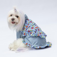 Pawstar Gri Victoria Köpek Mont