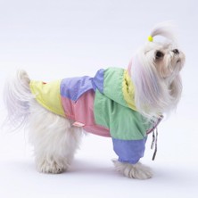 Pawstar Pastel Kauai Köpek Mont