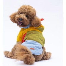 Pawstar Vivid Kauai Köpek Mont