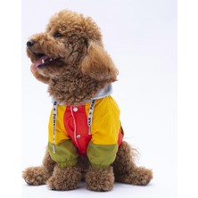 Pawstar Vivid Kauai Köpek Mont