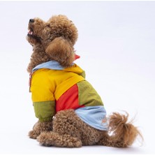 Pawstar Vivid Kauai Köpek Mont
