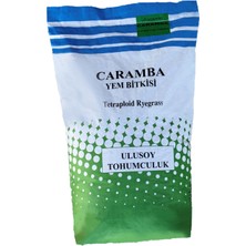 Ulusoy Tohumculuk Caramba Yem Bitkisi Tohumu Tetraploid Ryegrass 25Kg