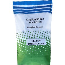 Ulusoy Tohumculuk Caramba Yem Bitkisi Tohumu Tetraploid Ryegrass 25Kg