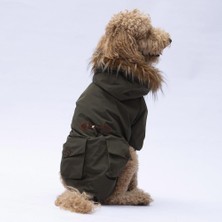 Pawstar Haki Charles Büyük Irk Köpek Mont