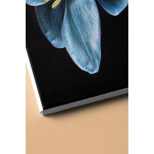 WebStyle Sayılarla Boyama Seti Kasnaklı Nilüfer 2 50 x 65 cm