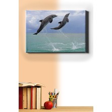 WebStyle Sayılarla Boyama Seti Kasnaklı Yunusların Selamı 40 x 50 cm