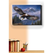 WebStyle Sayılarla Boyama Seti Kasnaklı Kartalın Dansı 40 x 50 cm