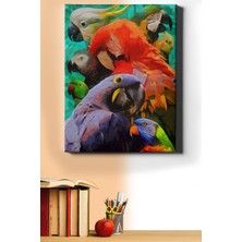 WebStyle Sayılarla Boyama Seti Kasnaklı Papağanlar 40 x 50 cm