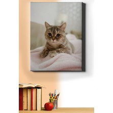 WebStyle Sayılarla Boyama Seti Kasnaklı Minik Kedi 1 60 x 75 cm