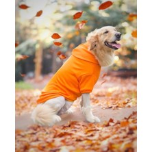 Kemique Orange Kapşonlu Sweatshirt, Orta ve Büyük Irklar Için
