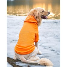 Kemique Orange Kapşonlu Sweatshirt, Orta ve Büyük Irklar Için