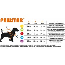 Pawstar Gri Tapeti Peluş Küçük Irk Köpek Tulumu (1 kg-11 kg arasına uygun bedenlerde)