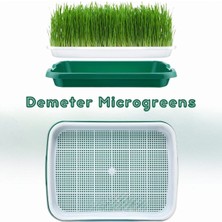 Demeter Microgreens Tohum Filizlendirme ve Çimlendirme, Mikro Yeşillik Yetiştirme Tepsisi, Bpa İçermeyen Plastikten