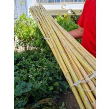 Çermik Fidancılık 1,5 Metre Fidan Bitki Destek Çubuğu Bambu 30 Adet