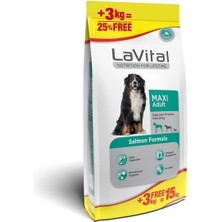 Lavital Maxi Somonlu Yetişkin Köpek Maması 15 kg