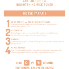 Acute Leke Karşıtı ve Aydınlatıcı Pirinç Özlü Tonik - Anti Blemish & Brightening Rice Toner