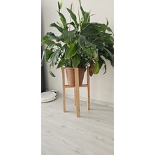 Ahşap Dekoratif Saksı Altlığı Tekli 60*30*30 cm