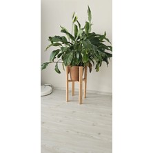 Ahşap Dekoratif Saksı Altlığı Tekli 60*30*30 cm