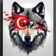 Ti Play Asil Kurt 31 50X50CM Çerçevesiz Karton Tablo