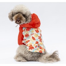 Pawstar Ottawa Köpek Mont