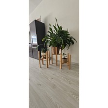 Ahşap Dekoratif Saksı Altlığı 3’lü 40*50*60 cm