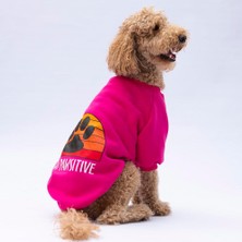 Pawstar Pembe Carmel Polarlı Orta-Büyük Irk Köpek Sweatshirtü