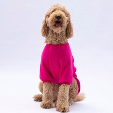 Pawstar Pembe Carmel Polarlı Orta-Büyük Irk Köpek Sweatshirtü