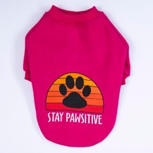 Pawstar Pembe Carmel Polarlı Orta-Büyük Irk Köpek Sweatshirtü