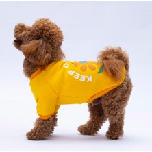 Pawstar Sarı Lahti Polarlı Küçük Irk Köpek Sweatshirtü