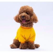 Pawstar Sarı Lahti Polarlı Küçük Irk Köpek Sweatshirtü
