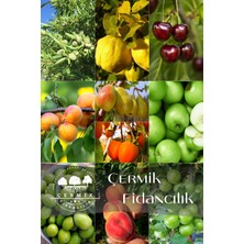 Çermik Fidancılık 10 Çeşit Karışık Aşılı Meyve Fidanı Paketi 5