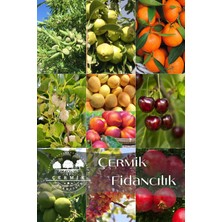 Çermik Fidancılık 10 Çeşit Karışık Aşılı Meyve Fidanı Paketi 23