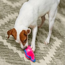 Outward Hound Durablez Tough Pig Pink Düdüklü Dayanıklı Köpek Oyuncağı Xs