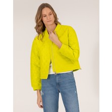 Pierre Cardin Kadın Yeşil Crop Top Mont 50263118-VR232 Günlük Stil ile Şıklık