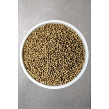 Tuvas Baharat Tane Kişniş 70 Gram