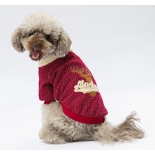 Pawstar Bordo Alaska Kedi Köpek Sweat- Kedi Köpek Kıyafeti