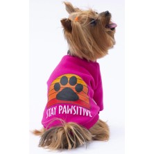 Pawstar Pembe Carmel Kedi Köpek Sweat- Kedi Köpek Kıyafeti