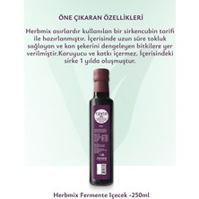 Ravla Herbmix ( Fermente İçecek )- 250ml