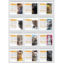 2025 Kedi Masa Takvimi