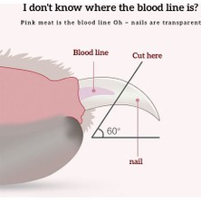 29şubat Işıklı Kedi Köpek Tırnak Makası Pet Evcil Hayvanları Için Korumalı Led'li Törpülü Tırnak Makası