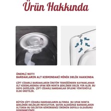 Berdina Home 2'li Çift Cidarlı Bardak 300 ml Ev Ofis Çay Fincanı Kahve Sunum Bardağı