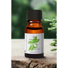 Vivaldi Home Çay Ağacı Uçucu Yağ ,buhurdanlık Yağı,doğal Uçucu Yağ,oda Kokusu, Aromaterapi Yağ, Esansiyel Yağ