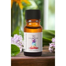 Vivaldi Home Anti Stress Uçucu Yağ Buhurdanlık Yağı Doğal Uçucu Yağ Oda Kokusu Aromaterapi Yağ Esansiyel Yağ