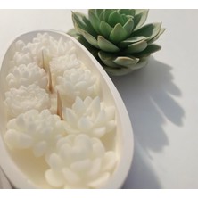 Pinterest Mum Tabağı