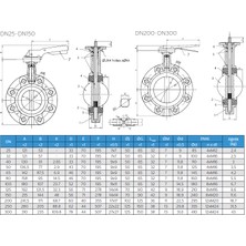 Ayvaz Kv4 Kelebek Vana Lug DN50 PN10/16