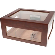 Germanus Oro Brown Humidor