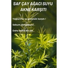 Saranta Cosmetic Çay Ağacı Suyu Gözenek Sıkılaştırıcı Arındırıcı Tonik 100 ml