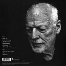 David Gilmour - Luck and Strange Plak